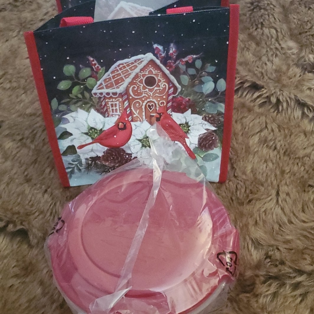 Lock and lock circle with handle and matching tote